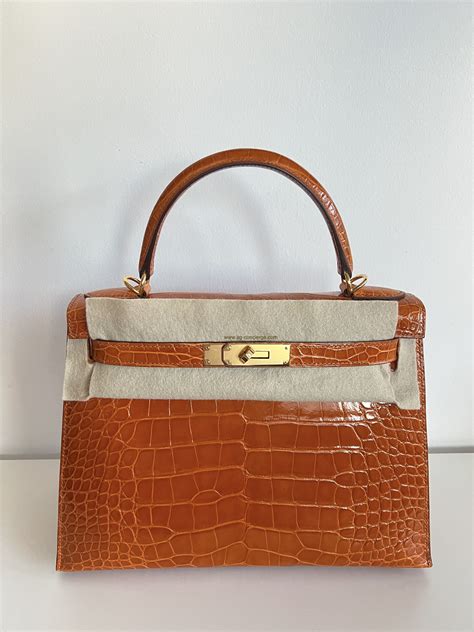 hermes alligator mississippiensis